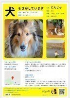 画像投稿者: ふふふ