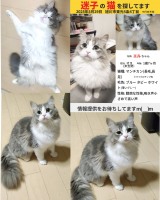 画像投稿者: アルとエル