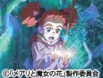 映画ライター ケン坊のシネマの時間