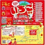 比布町 9農園で「いちご狩り」