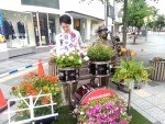 花のフォトスポット
