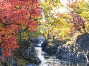 〝達人〟たちが地域の魅力を紹介する日帰りバスツアー「紅葉と秋の味覚」