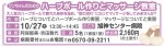 ワンちゃんのためのハーブボール作りとマッサージ教室