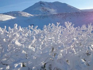 大雪山圏域の自然や歴史、文化を地域づくりにどう生かせるかを考える「大雪山の『価値』を知り『活かす』ためのフォーラム」