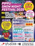 PIPPU SNOW NIGHT FESTIVAL V