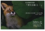 半田菜摘写真展「野生を覗くと…」