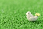 毎日が楽になる生き方講座~ストレスとの付き合い方~