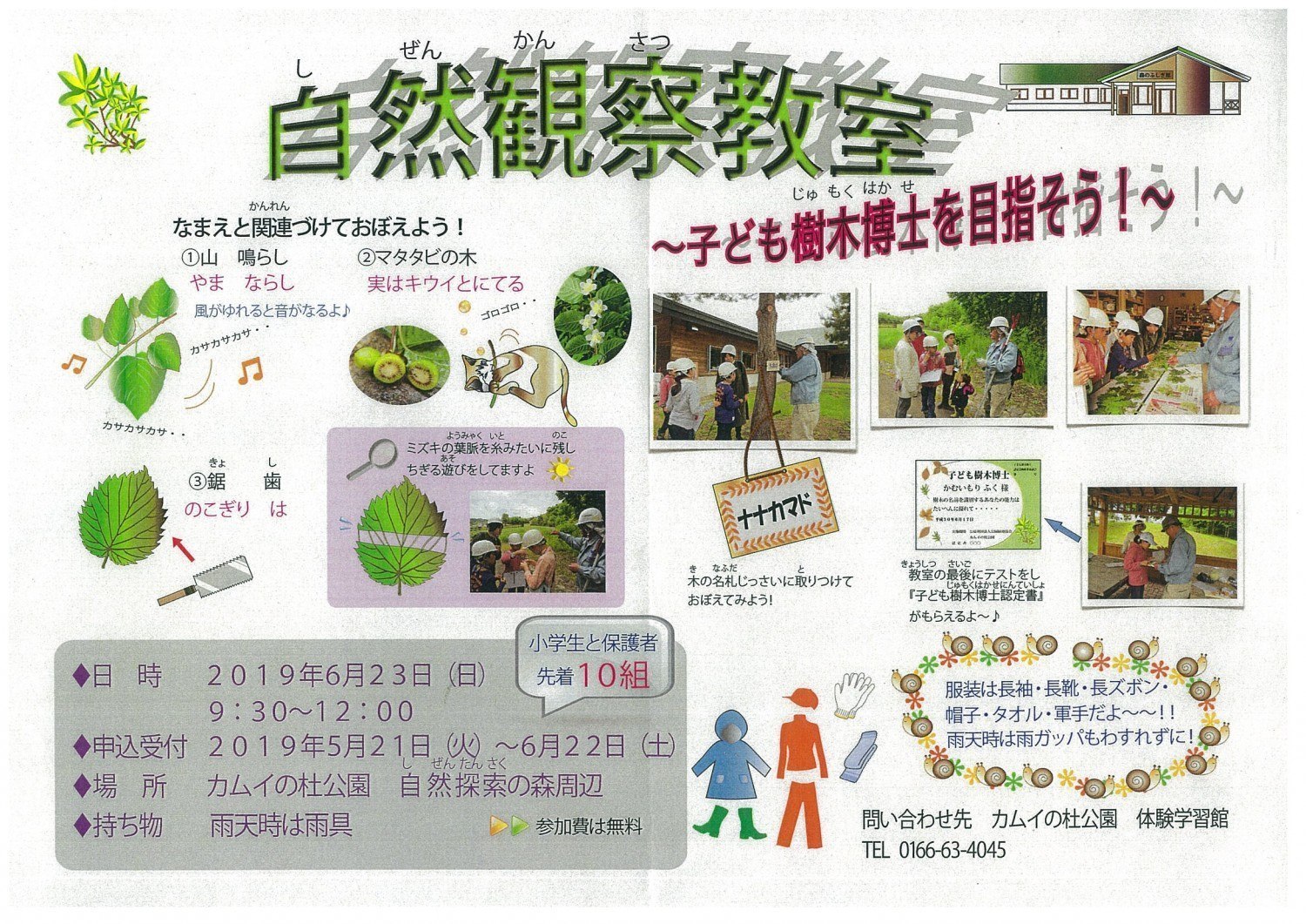 自然観察教室 子ども樹木博士を目指そう 旭川市神居町 イベント ライナーウェブ 自然観察教室 子ども樹木博士を目指そう 旭川市神居町 イベント ライナーウェブ
