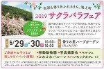 2019 サクラバラフェア