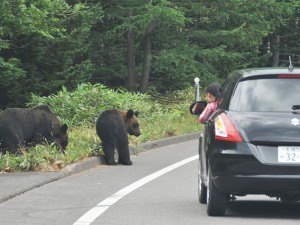 【中止】動物園フォーラム2020～野生生物と人との共生について～