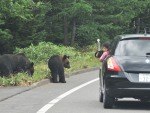 【中止】動物園フォーラム2020~野生生物と人との共生について~