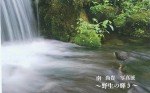 南 尚貴 写真展 ~野生の輝き~