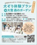 犬ぞり体験プラン in 大雪 森のガーデン