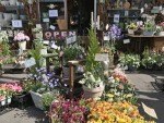ガーデン用品の販売会