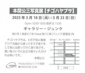 本間公三写真展【チゴハヤブサ】