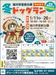 期間限定 ドッグラン