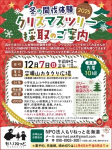 冬の間伐体験　クリスマスツリー採取のご案内