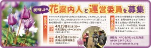 突哨山の花案内人と運営委員を募集