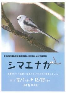 シマエナガ展