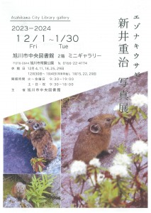 エゾナキウサギ　新井重治　写真展