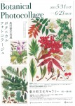 奥田實写真展 ボタニカルフォトコラージュ