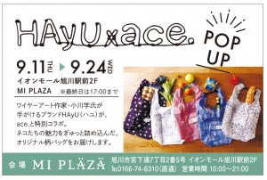 HAyu×ace. POP UP