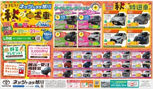 さきどり!秋の中古車豊作祭り
