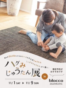 ハグみじゅうたん展