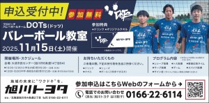 プロビーチバレーボールチームDOTS(ドッツ)バレーボール教室