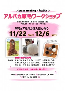 アルパカ原毛ワークショップ ~ 旭川CoCoDe