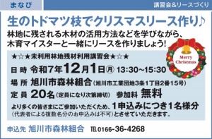 生のトドマツ枝でクリスマスリース作り♪