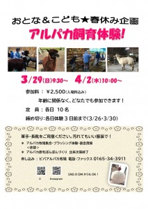 【アルパカ飼育体験】