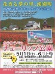 かみゆうべつチューリップ公園