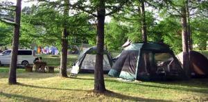 公園型のキャンプ場