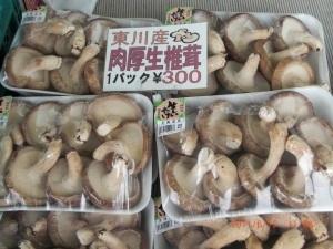 通年販売