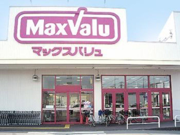 ザ ビッグ宮前通店 旭川市宮前 食品 ライナーウェブ