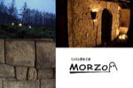 モルタル造形工房MORZO (モルゾウ)