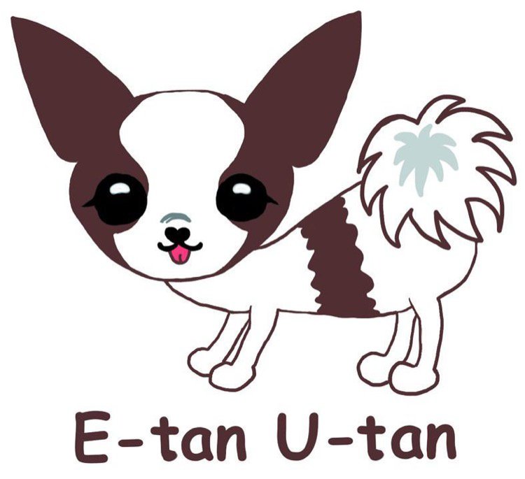 E Tan U Tan いーたんゆーたん 旭川市末広 ペット関連サービス ライナーウェブ E Tan U Tan いーたんゆーたん 旭川市末広 ペット関連サービス ライナーウェブ