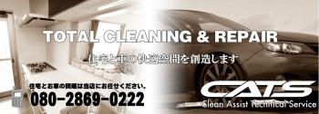Clean Assist Technical Service