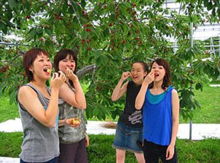 山中果樹園 旭川市神居町 体験見学 農牧場 ライナーウェブ 山中果樹園 旭川市神居町 体験見学 農牧場 ライナーウェブ