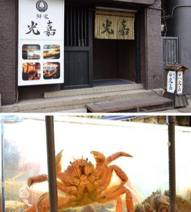 やきとり鳥源 旭川店 旭川市3条通 焼鳥 ライナーウェブ