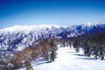 大雪山黒岳スキー場