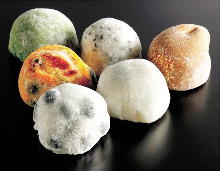 もち処一久大福堂 旭川空港店 - 東神楽町/和菓子 [ライナーウェブ]