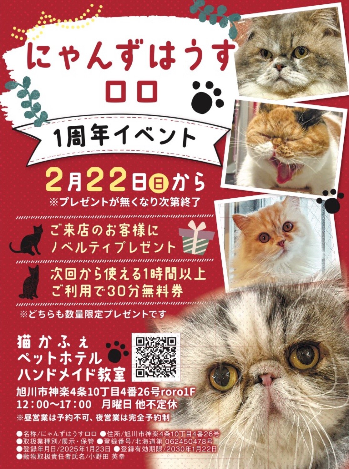 にゃんずはうすロロ - 旭川市神楽/カフェ・喫茶 [ライナーウェブ]