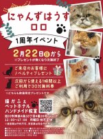 にゃんずはうすロロ