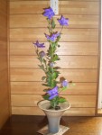 和の稽古　茶道塾・華道塾・きもの塾