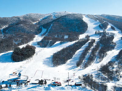 まみむの贈り物