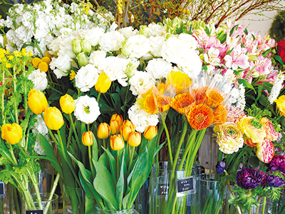 【春のギフト特集】読者プレゼント