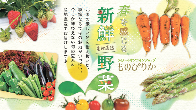 【ものぴりか】春野菜