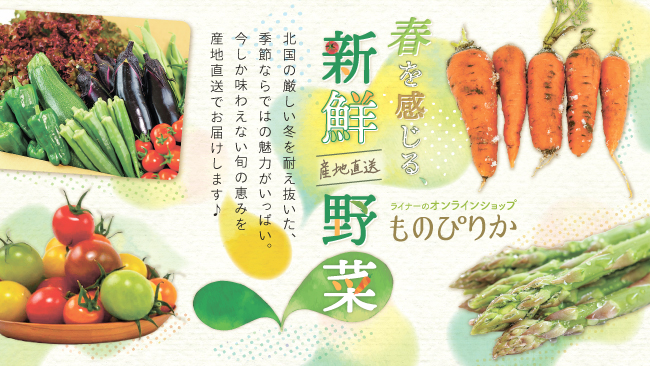 【ものぴりか】春野菜特集